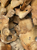 Archeologická exkurze a Kočičí kavárna_20